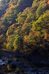 秋田・青森
