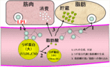 a3453a99.gif