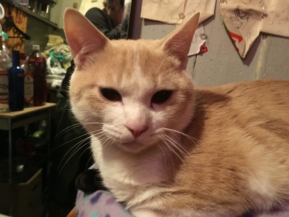 2016-01-11-20-56-09