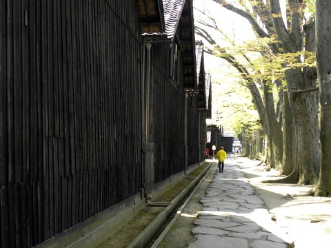 DSCN5773