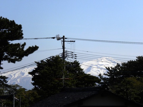 DSCN5741