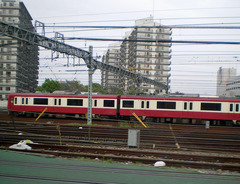 IMGP4967