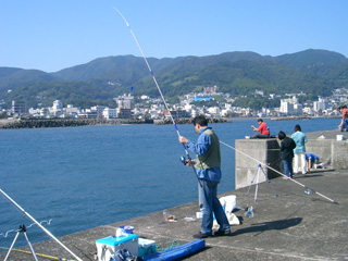 1f7e7565.jpg