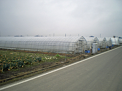IMGP4806