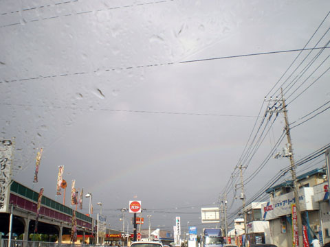 828e4c95.jpg