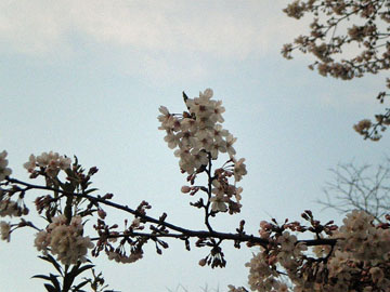 9e25284b.jpg