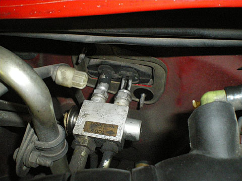 a66a7974.jpg