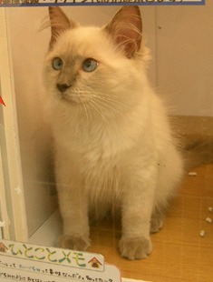 c3776b83.jpg