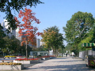 ef1e5574.jpg