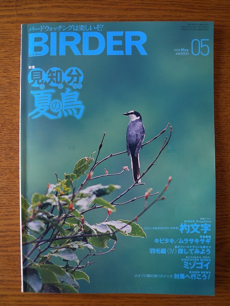 DSCN9167_s