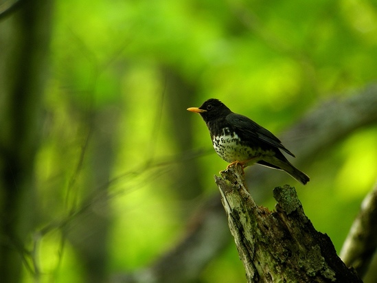 DSCN5635_M