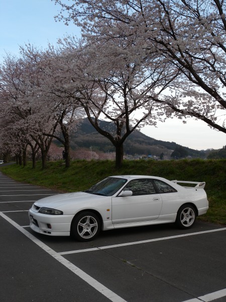 DSCN8899_s