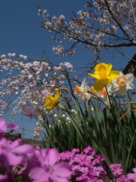 DSCN9078_s