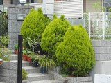 20050508Om1