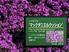 SBCA0093