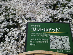 SBCA0086