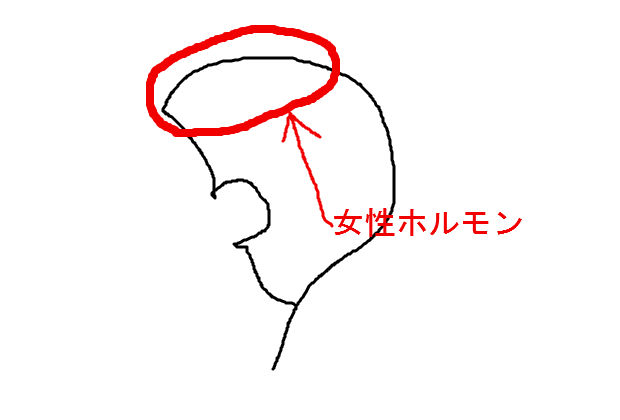 BlogPaint