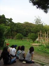 6/13 まったり