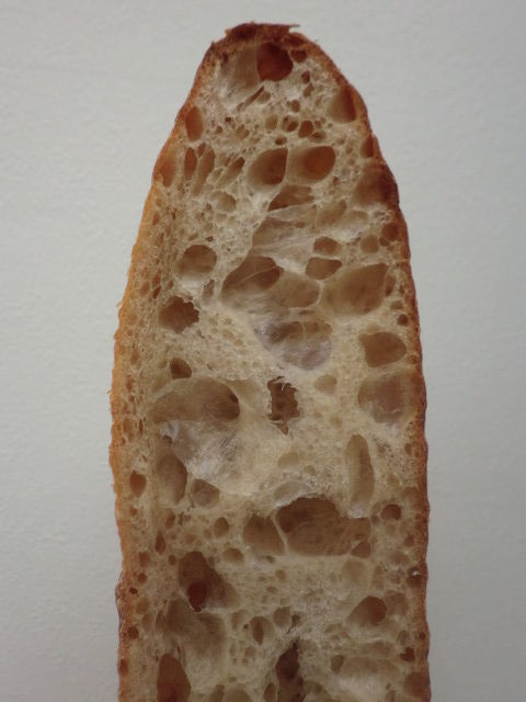 CIMG4477