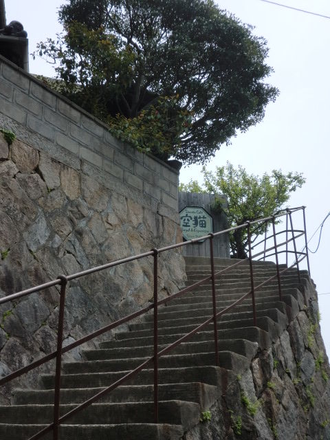 CIMG1416