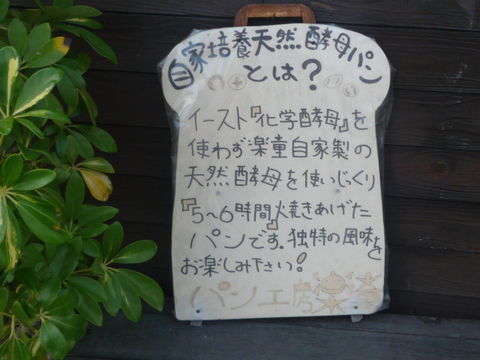 P1100796