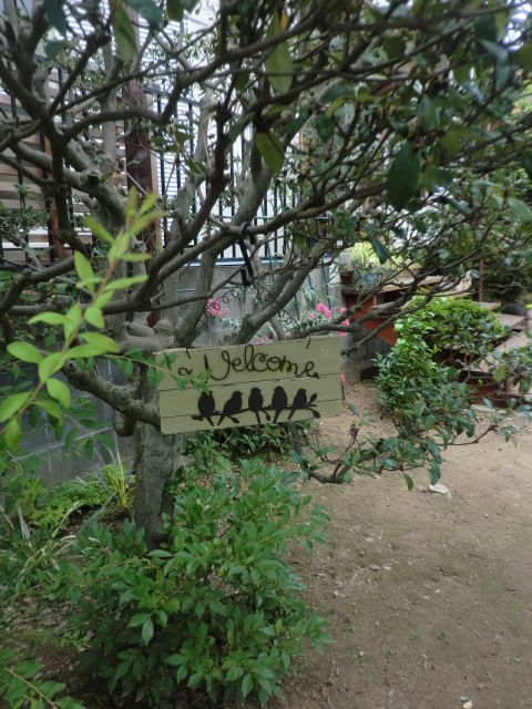 CIMG6239