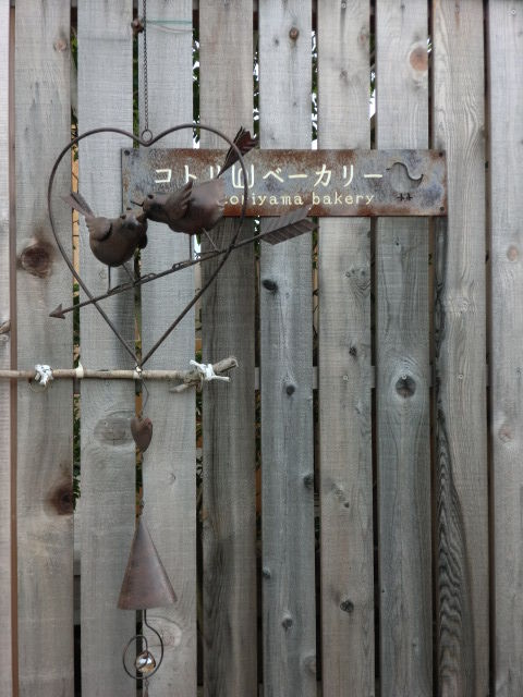 CIMG9316