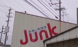 画像 291