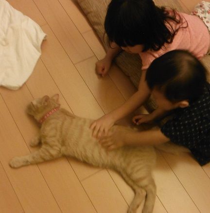 よしよし1