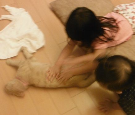 よしよし2