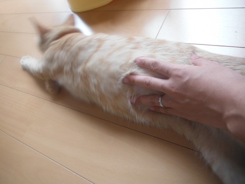 DSCF0544