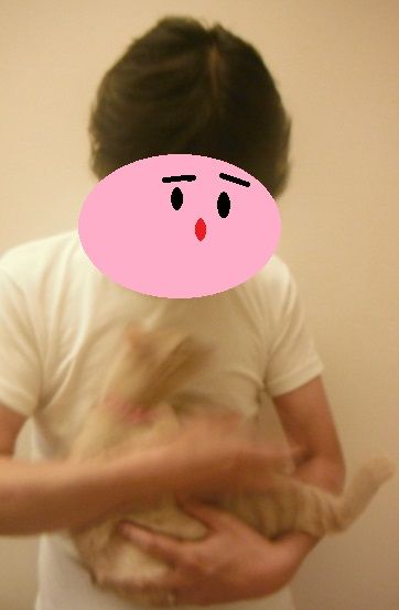 だっこ3