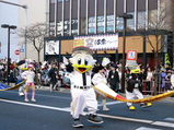 43d14673.jpg