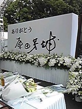b80d7163.jpg