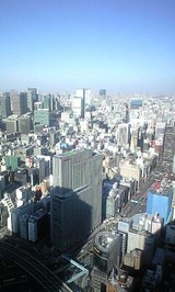 e38528e0.jpg