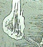 彼岸島 最後の47日間 第136話感想