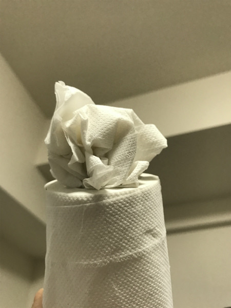 写真 2017-03-27 22 28 31