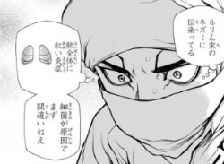 >『Dr.STONE』第41話「DOCTOR STONE」2