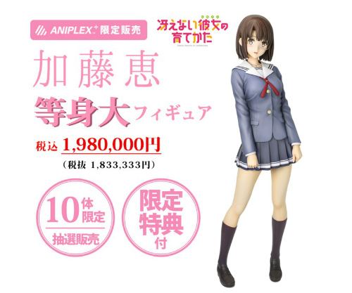 ANIPLEX+より