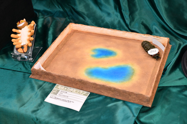 第57回静岡ホビーショーディーラー写真まとめ-49