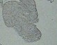 20130123_074734