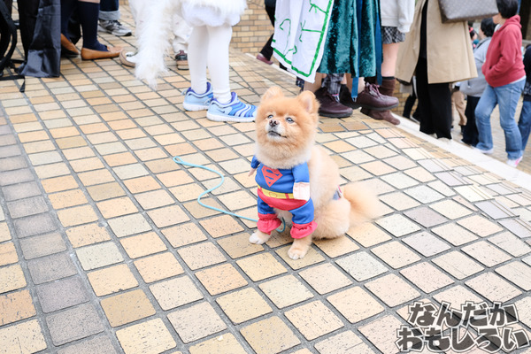 『池袋ハロウィン2016』1日目の大規模合わせ&ネタ中心のコスプレレポート!F3443