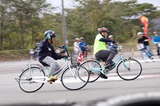 thumbnail_IMG_5131