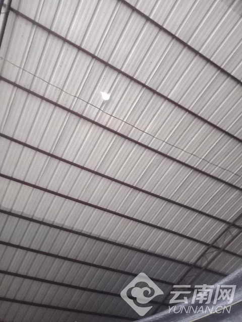 雲南隕石_5