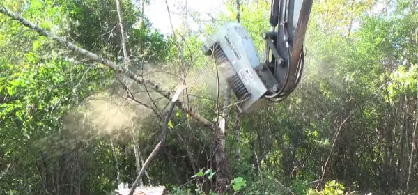 Excavator Mulcher