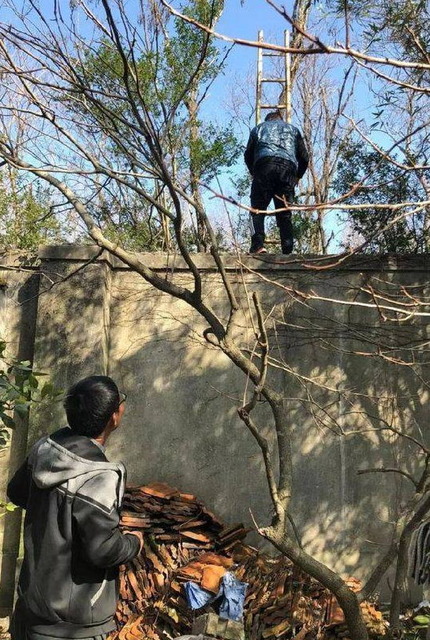 動物園不正入場_3