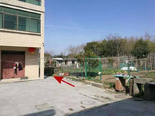 動物園不正入場_2