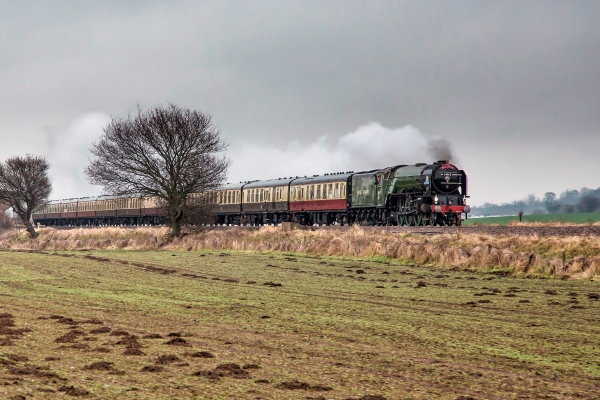 60163 Tornado_5