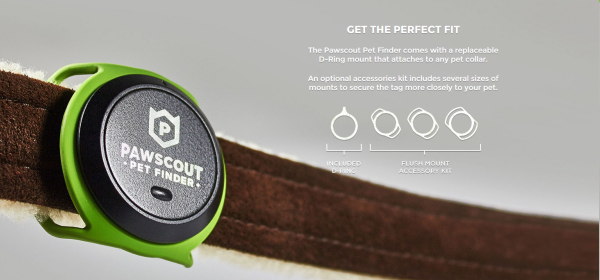 Pawscout_1