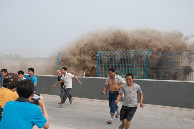 image_9